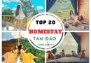 TOP 20 HOMESTAY TAM DAO